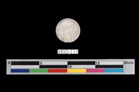 藏品(石棉)的圖片